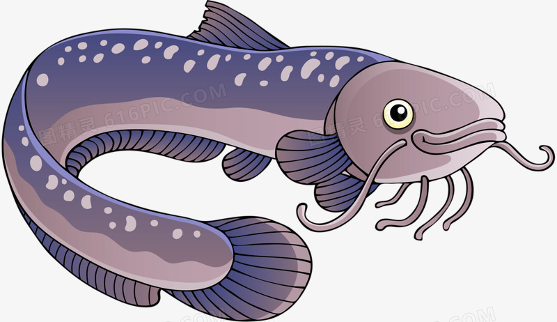 图精灵 免抠元素 卡通手绘 手绘鳗鱼