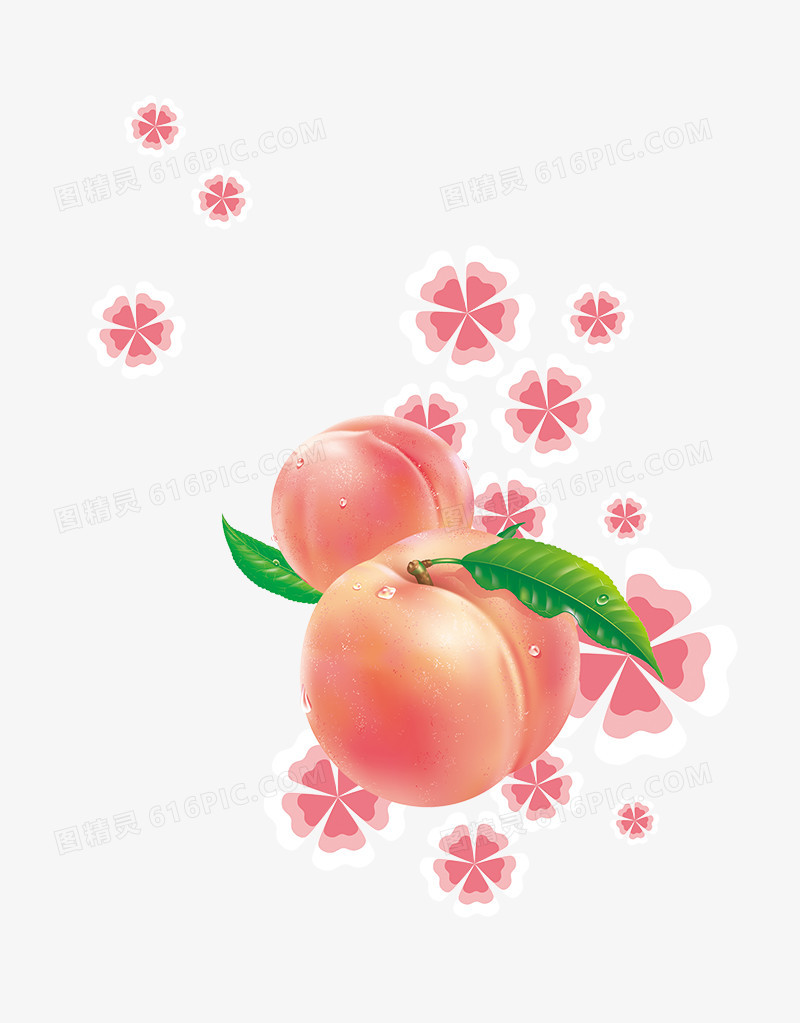 新鲜的水蜜桃图片免费下载_高清png素材_图精灵