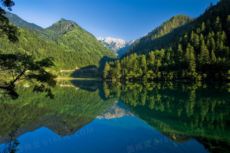 蓝天白云树林河流