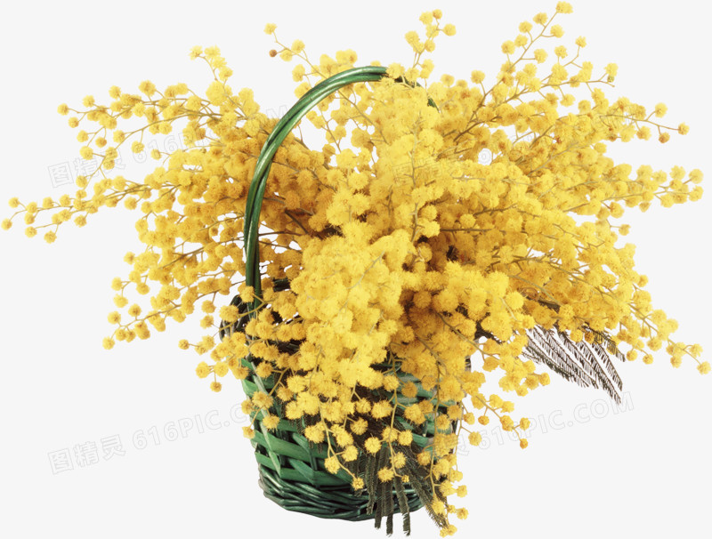 鲜花花卉水彩花卉 黄色花朵花篮