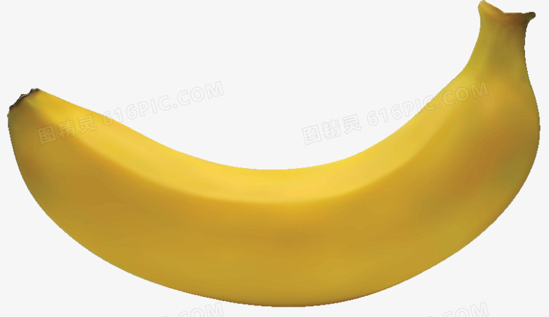 逼真的矢量香蕉
