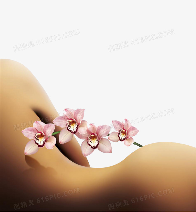 性感光滑的美女背部和蝴蝶兰花