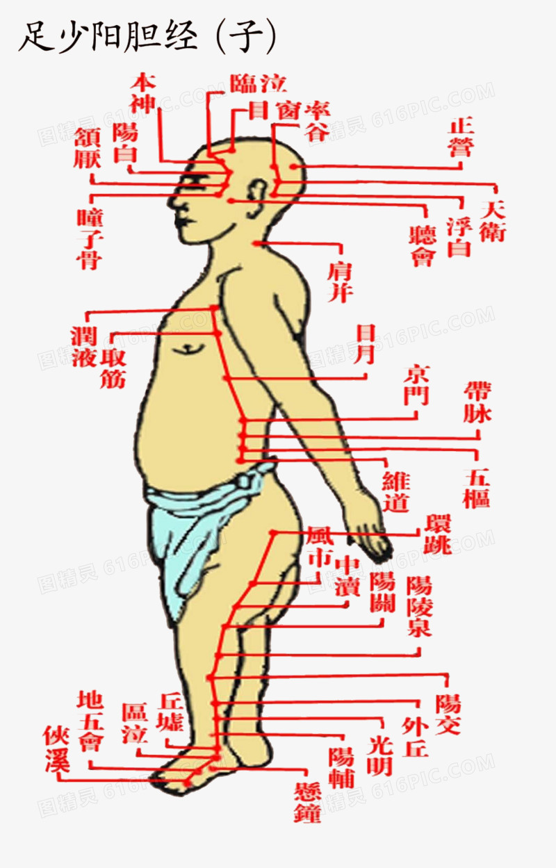 足少阳胆经