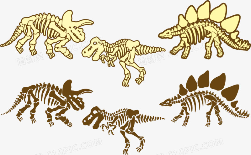 矢量图恐龙化石