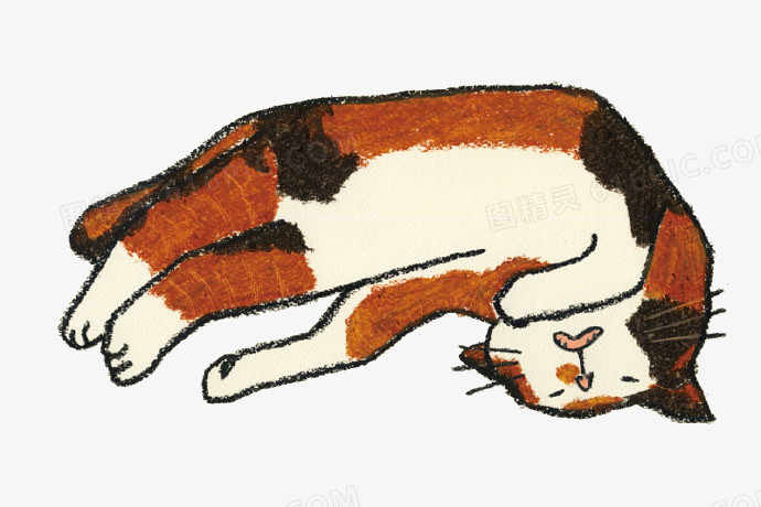 手绘插画睡觉的猫