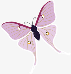 简约紫色飞舞蝴蝶