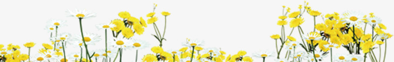 黄色向日葵花朵装饰六一儿童节