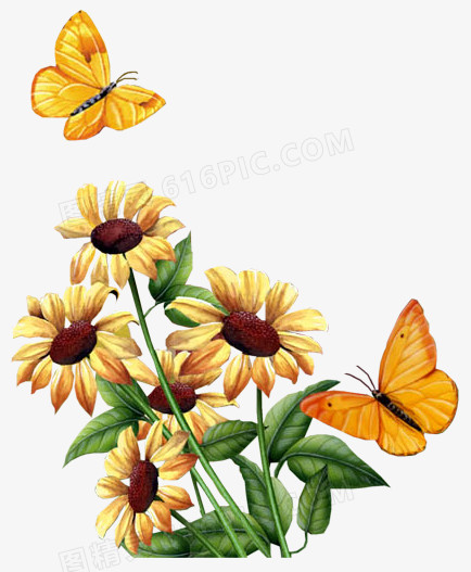 手绘高清创意合成效果黄色的花卉植物蝴蝶