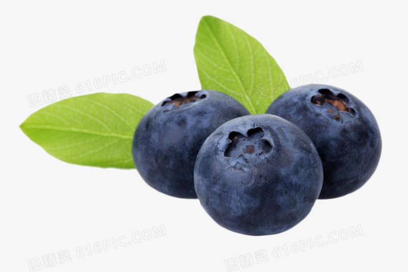 美味水果蓝莓