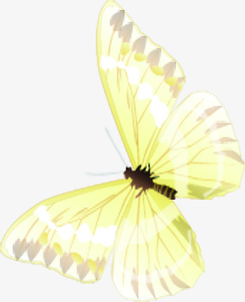 创意合成飞舞的黄色蝴蝶效果