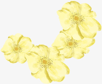 创意合成黄色水彩花卉在植物