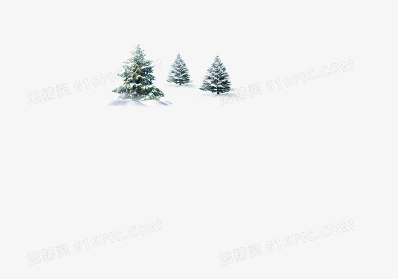 雪松，松树，冬天，下雪