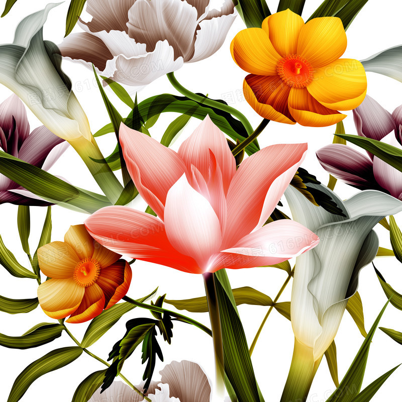美丽花卉背景图案