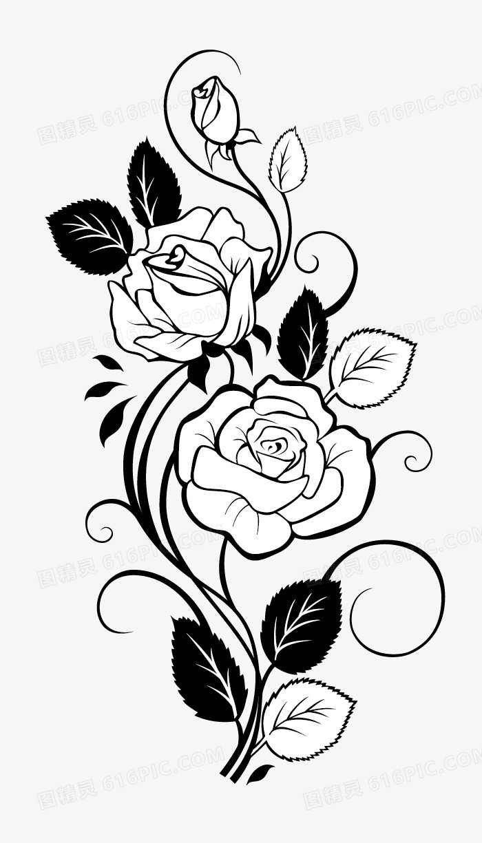 关键词:玫瑰合集玫瑰黑色叶子黑白图案图精灵为您提供玫瑰花免费下载