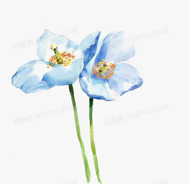蓝色手绘水墨花朵
