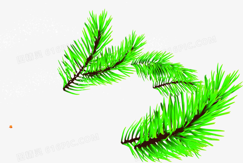 手绘创意合成绿色的圣诞树树叶