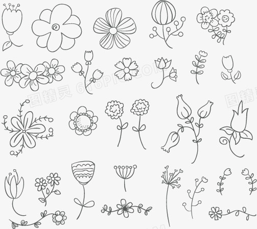 矢量手绘线稿花朵和植物合集