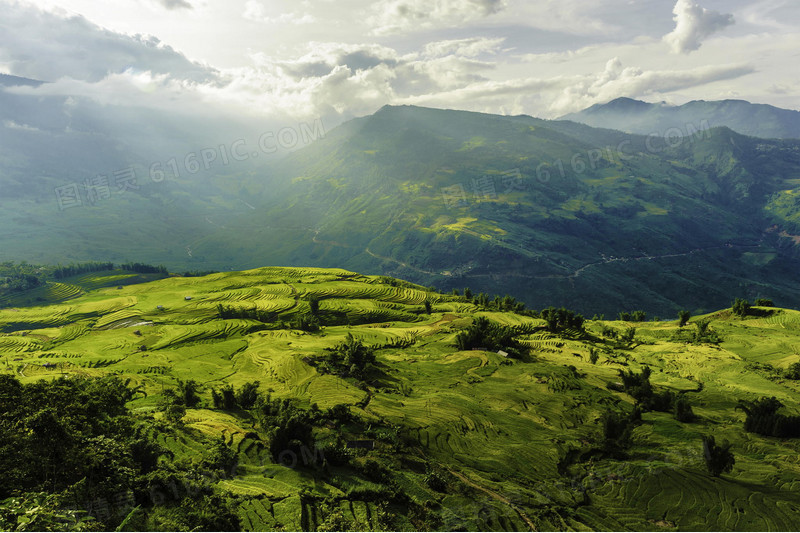 俯视绿色山地海报背景