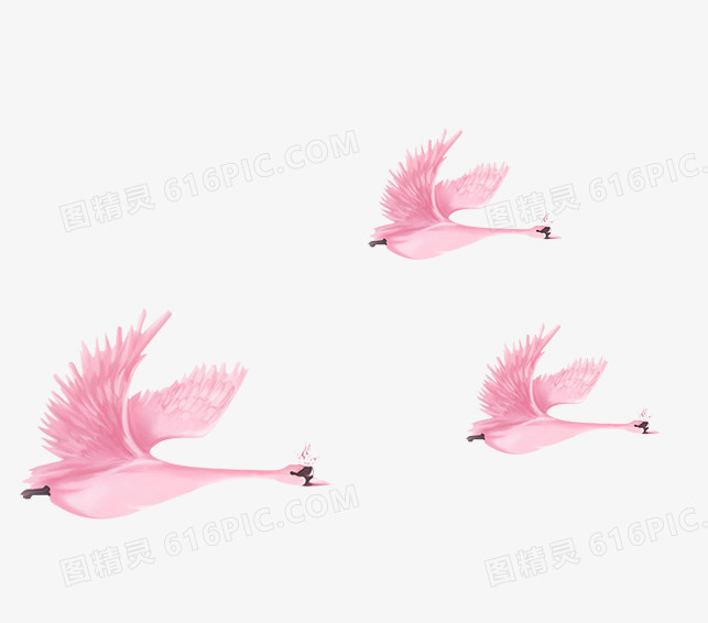 粉色手绘天鹅装饰图案