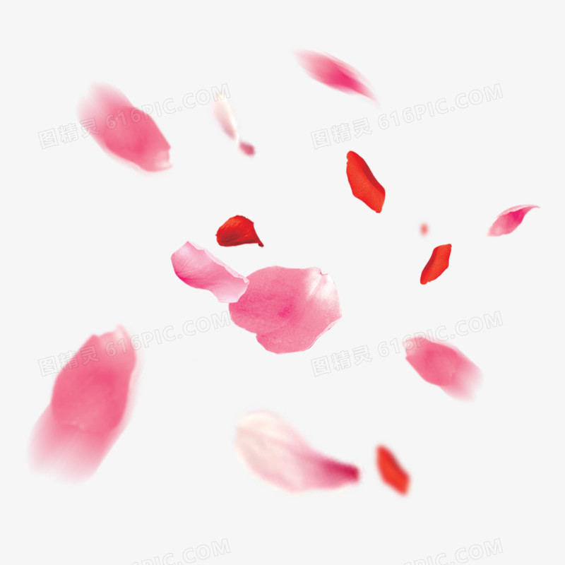 粉色漂浮的花瓣素材