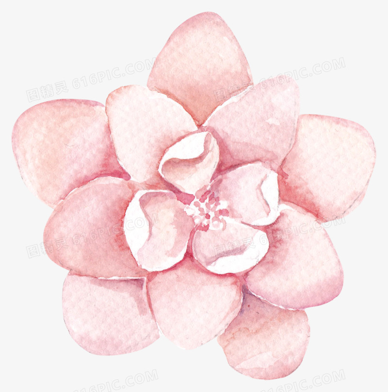 花卉图案素材花卉画 粉色花朵