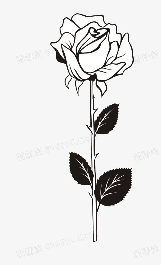 手绘黑色线条玫瑰装饰