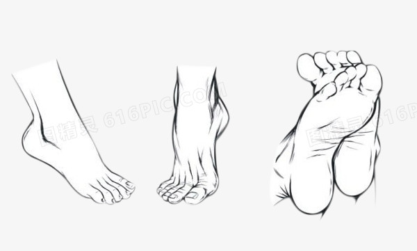 关键词:脚素描黑白画手绘图精灵为您提供脚免费下载,本设计作品为脚