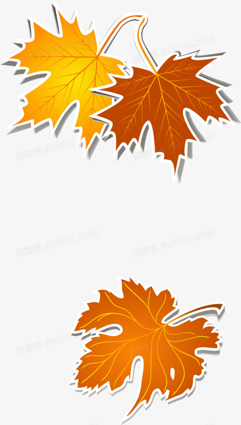 秋天树叶的设计元素