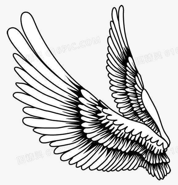 羽毛翅膀素材 卡通手绘翅膀
