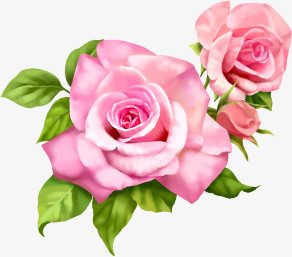 粉色手绘玫瑰花