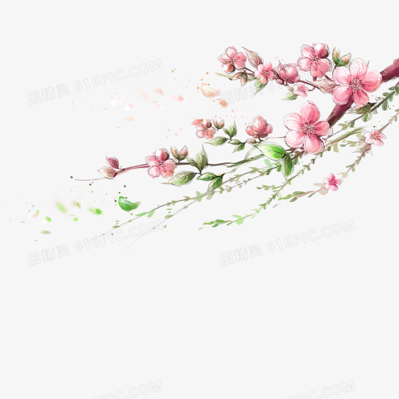 手绘桃花枝