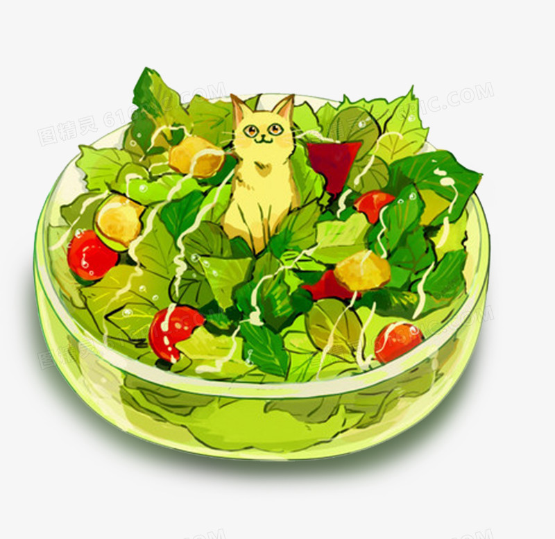 手绘美食