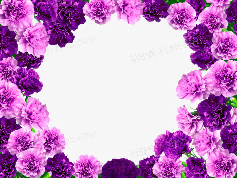 紫色浪漫唯美花朵植物边框