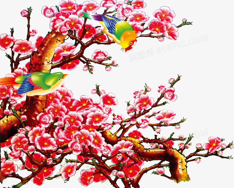 中式手绘小鸟梅花树枝