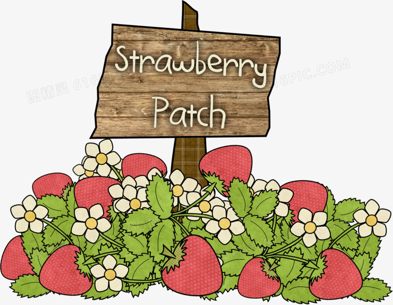 可爱草莓水果