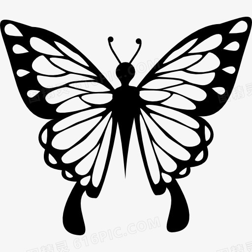 蝴蝶翅膀上有精美的观点图标