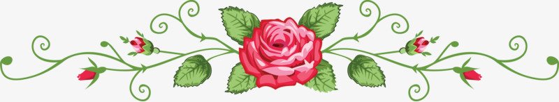 玫瑰花朵植物边框