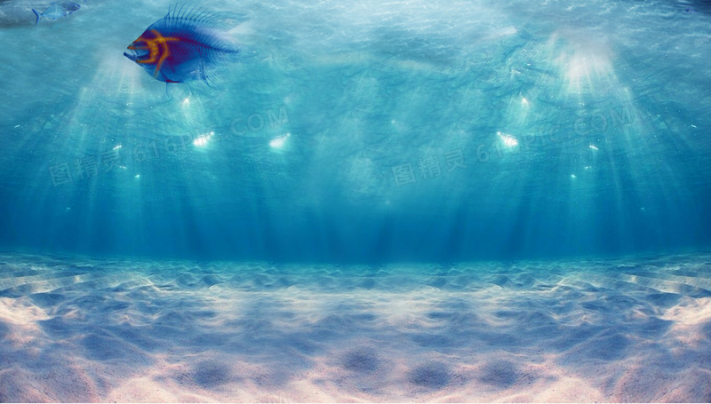 梦幻海底世界背景壁纸