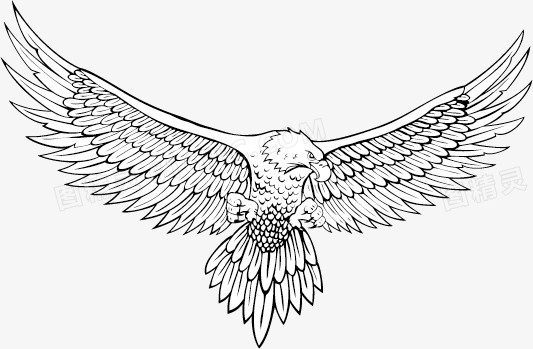 矢量素描老鹰