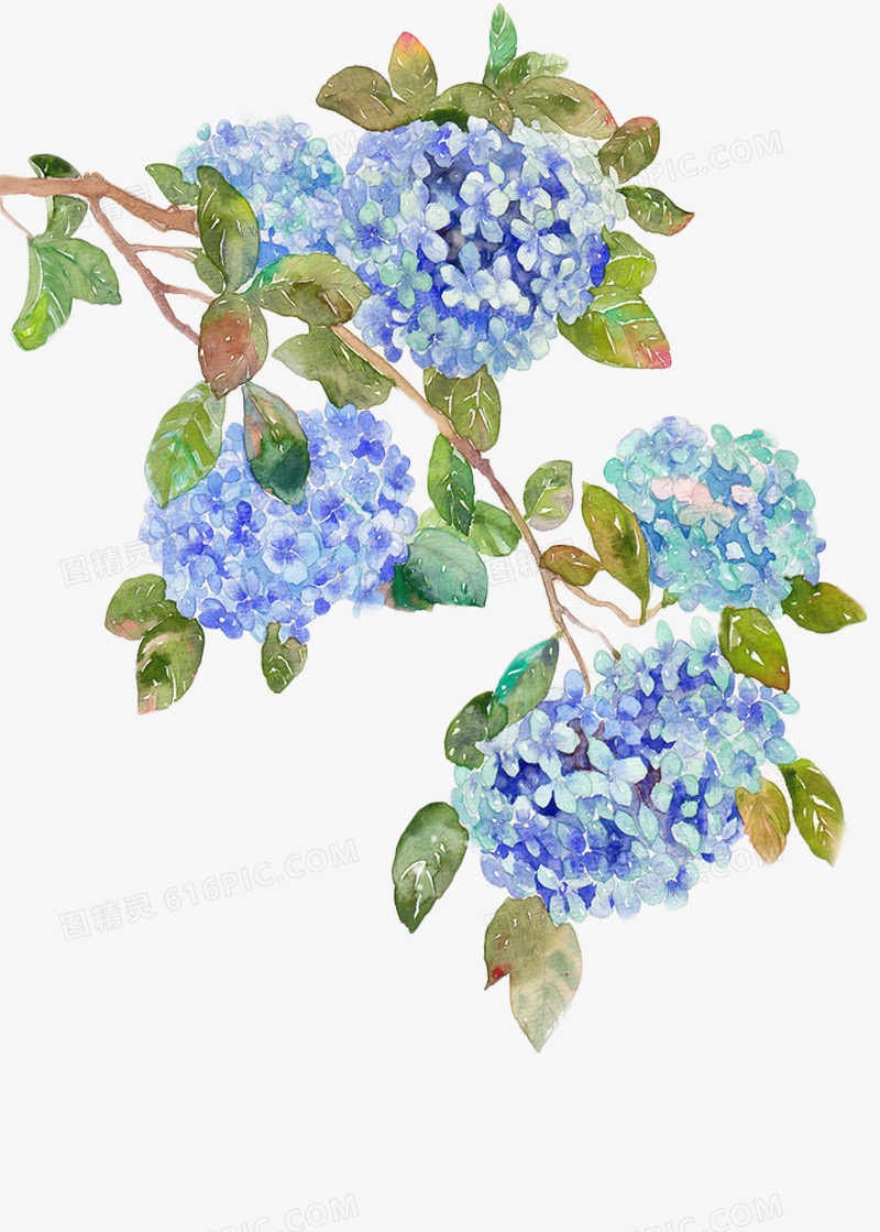 手绘印花古典素描插画