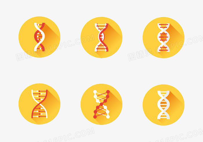 DNA图标集