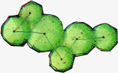 绿色平面设计植物