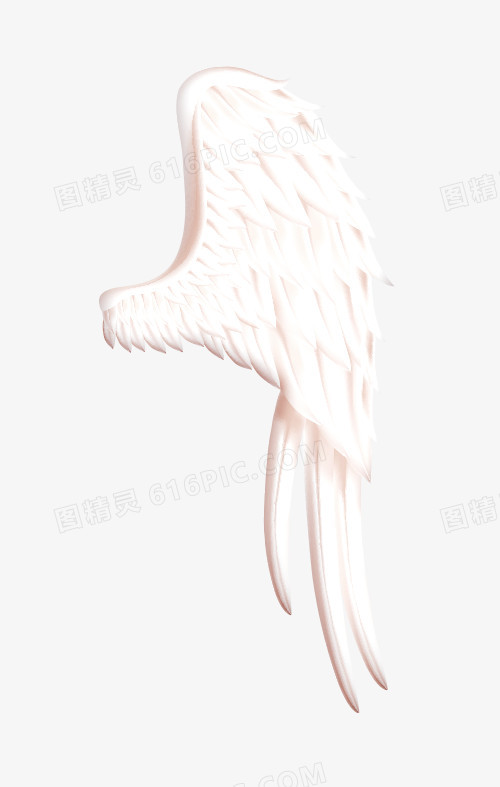 天使的白色翅膀