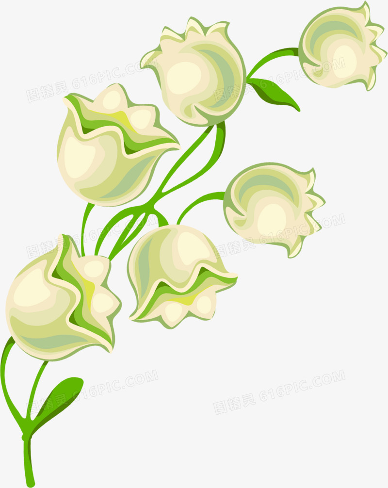 白色卡通铃兰花朵春天