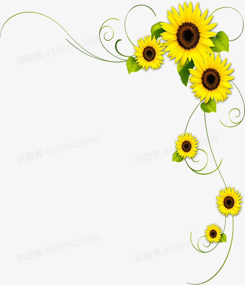黄色春天向日葵花朵设计