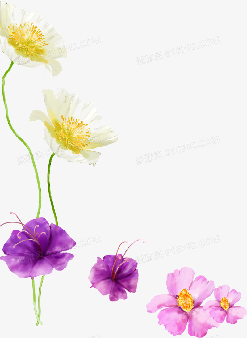 春天白紫色花朵装饰