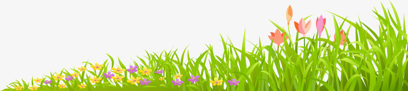 绿草草坪草丛春天装饰