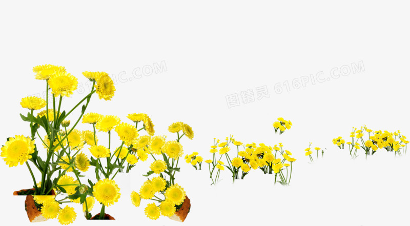 黄色春天美景花朵设计