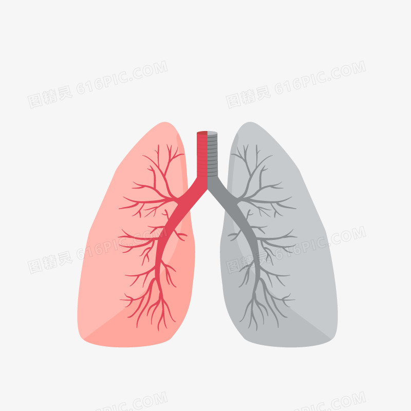矢量肺的对比图