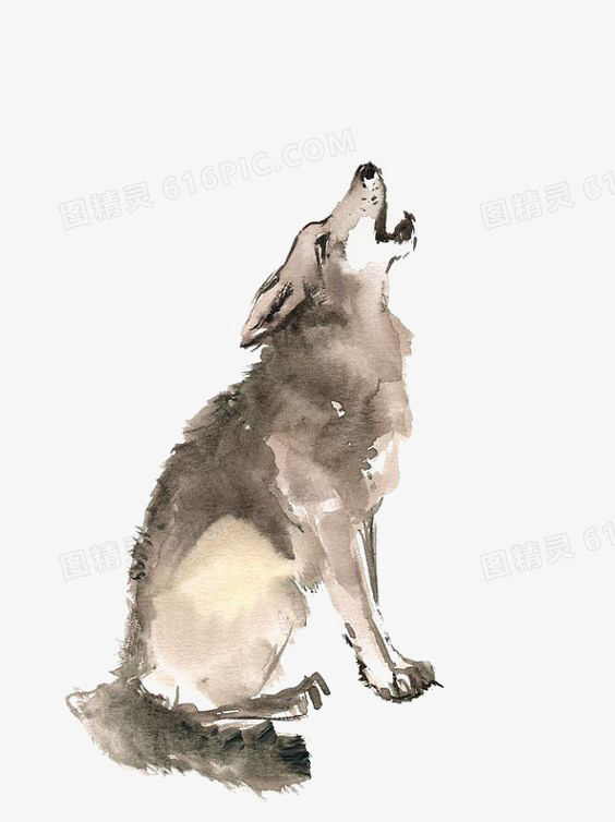 关键词:嚎叫水彩狼手绘狼动物猛兽图精灵为您提供狼免费下载,本设计